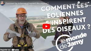 Comment les éoliennes s’inspirent des oiseaux ? – Le Monde de Jamy